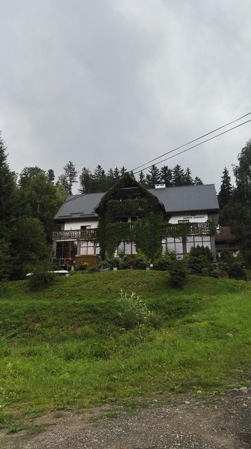 Willa Pod Dobrym Humorem Miedzygorze Kültér fotó